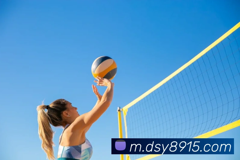 多媒体互动体验