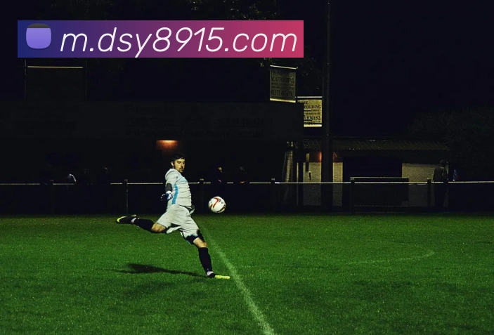 大三元官网平台登录APP 体育赛事宣传图